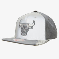 Mitchell and Ness Gorra Day 5 Hombre Chicago Bulls