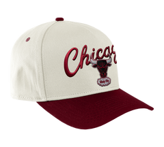 Mitchell and Ness Gorra Match Up Hombre Chicago Bulls