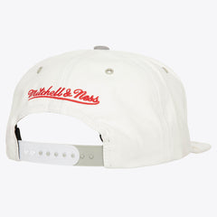 Mitchell and Ness Gorra Day 4 Hombre Chicago Bulls