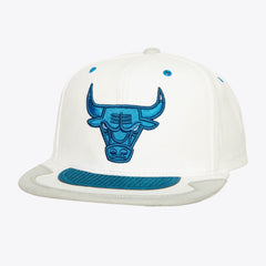 Mitchell and Ness Gorra Day 4 Hombre Chicago Bulls