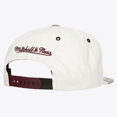 Mitchell and Ness Gorra Day 4 Hombre Chicago Bulls