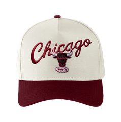 Mitchell and Ness Gorra Match Up Hombre Chicago Bulls