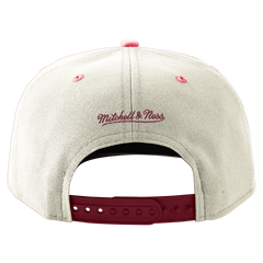 Mitchell and Ness Gorra Match Up Hombre Chicago Bulls