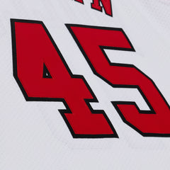 NBA Jersey Authentic Hombre Chicago Bulls Michael Jordan