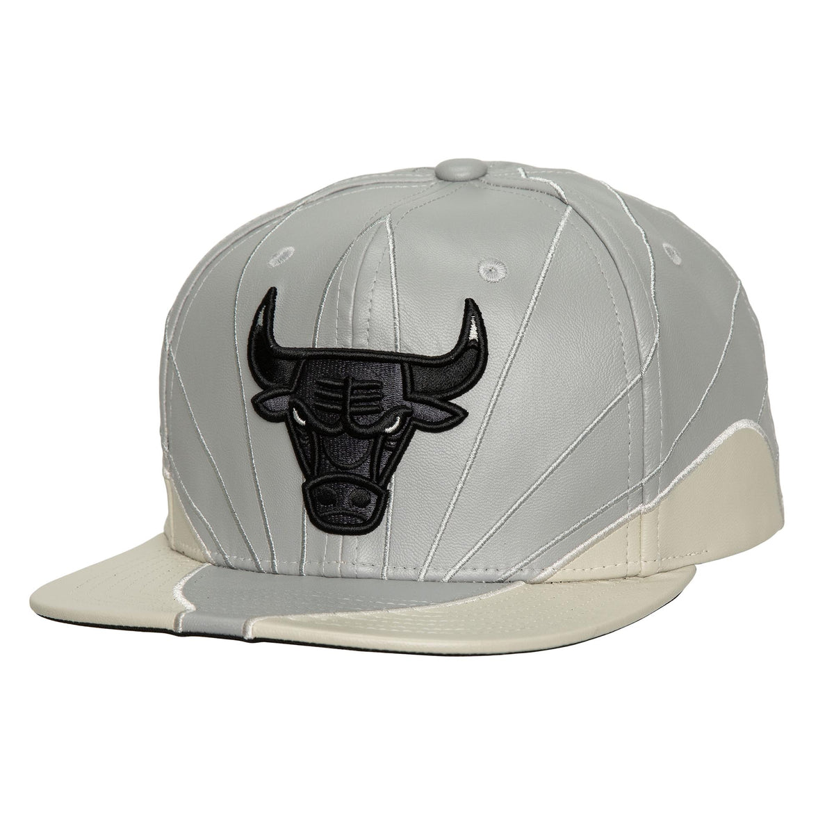 Mitchell and Ness Gorra Sneakerhooks Day Hombre Chicago Bulls