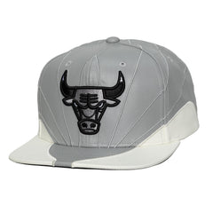 Mitchell and Ness Gorra Sneakerhooks Day Hombre Chicago Bulls