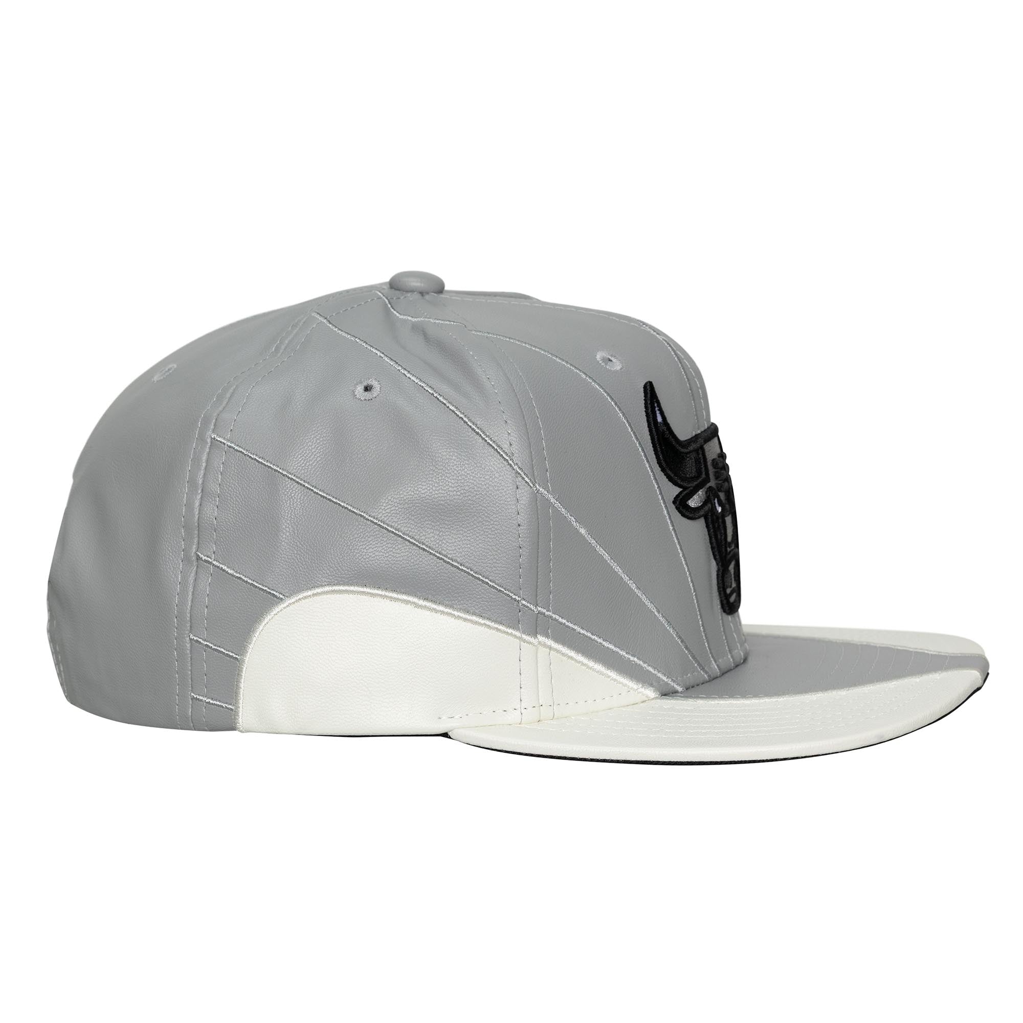 Mitchell and Ness Gorra Sneakerhooks Day Hombre Chicago Bulls