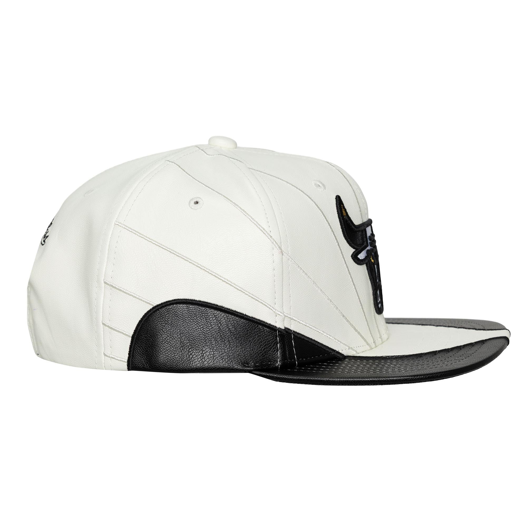 Mitchell and Ness Gorra Sneakerhooks Day Hombre Chicago Bulls