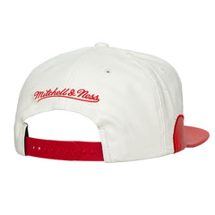 Mitchell and Ness Gorra Sneakerhooks Day Hombre Chicago Bulls