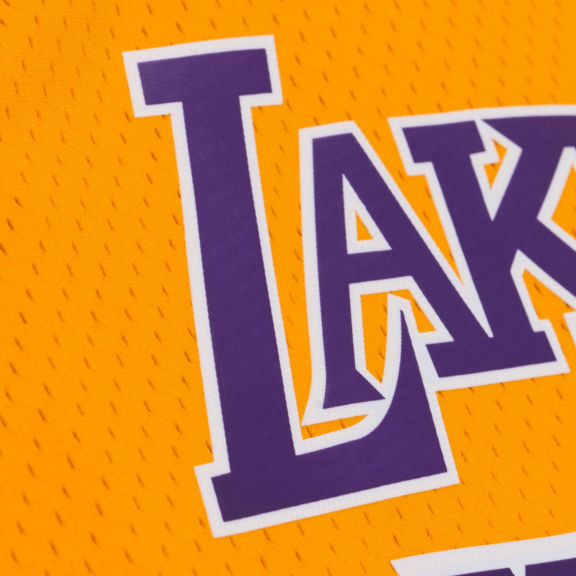 NBA Jersey Hombre Los Angeles Lakers Dennis Rodman