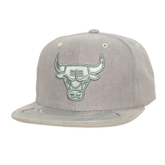 Mitchell and Ness Gorra Day 4 Hombre Chicago Bulls