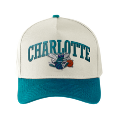 Mitchell and Ness Gorra Match Up Hombre Charlotte Hornets